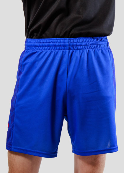 Волейбольные шорты мужские VOL-AMS-03-SUBL